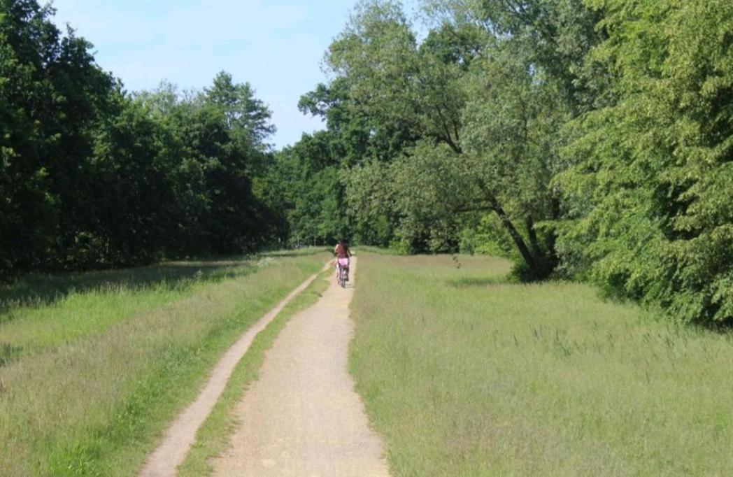 Spreewald Ferienwohnung Noack ลึบเบิน ภายนอก รูปภาพ