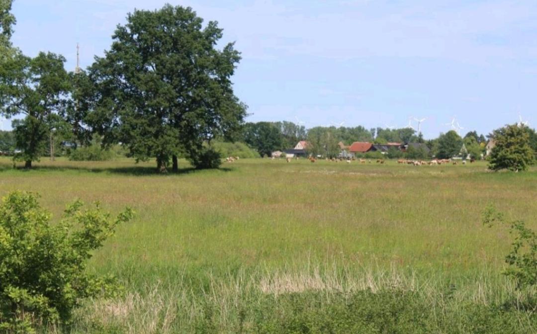 Spreewald Ferienwohnung Noack ลึบเบิน ภายนอก รูปภาพ