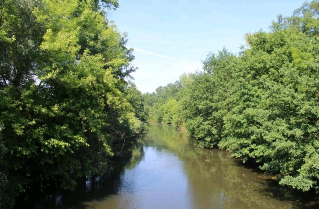 Spreewald Ferienwohnung Noack ลึบเบิน ภายนอก รูปภาพ