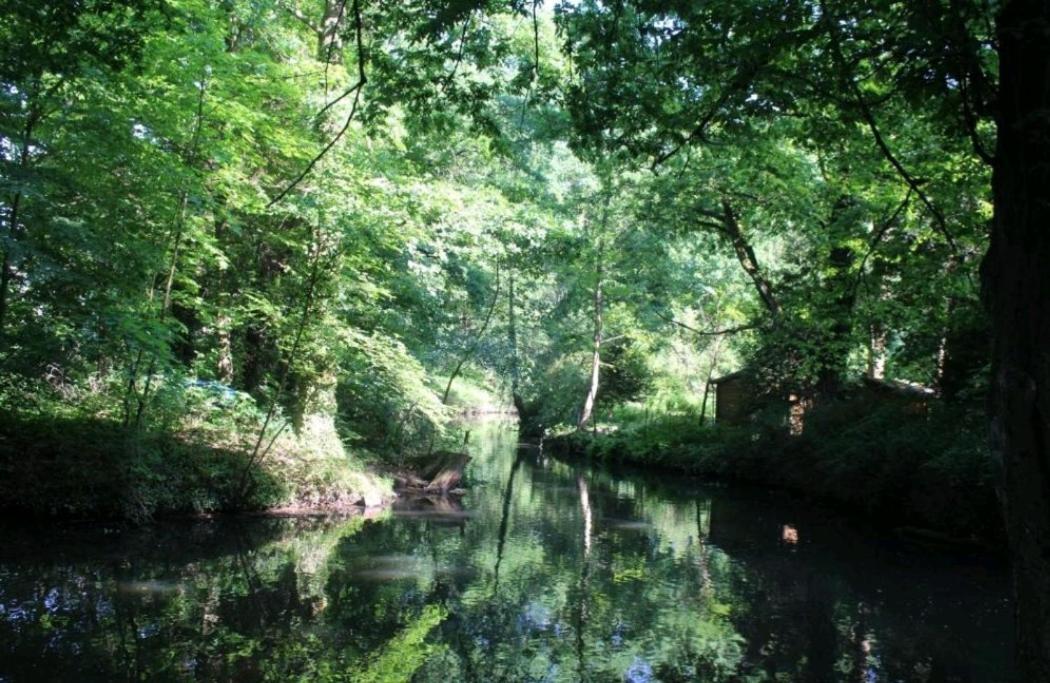Spreewald Ferienwohnung Noack ลึบเบิน ภายนอก รูปภาพ